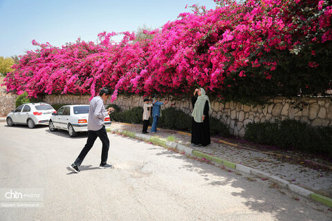 اجرای دومین گشت تخصصی گردشگری مبتلایان به تالاسمی در خوزستان