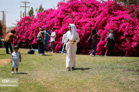 اجرای دومین گشت تخصصی گردشگری مبتلایان به تالاسمی در خوزستان