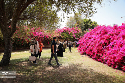 اجرای دومین گشت تخصصی گردشگری مبتلایان به تالاسمی در خوزستان