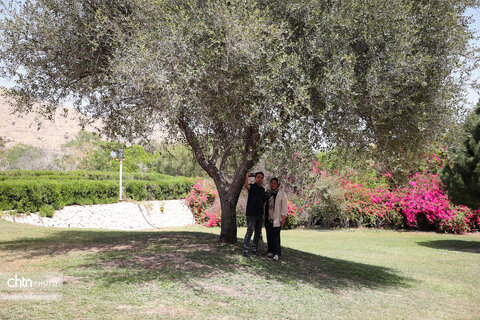 اجرای دومین گشت تخصصی گردشگری مبتلایان به تالاسمی در خوزستان