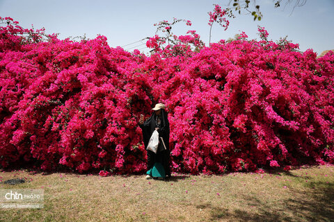 اجرای دومین گشت تخصصی گردشگری مبتلایان به تالاسمی در خوزستان