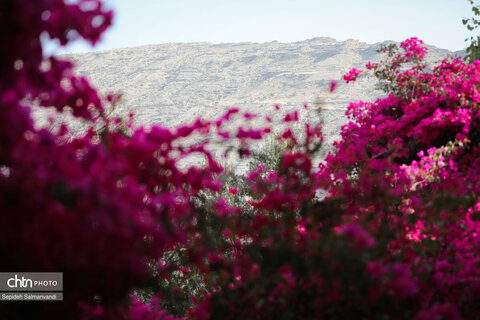 اجرای دومین گشت تخصصی گردشگری مبتلایان به تالاسمی در خوزستان