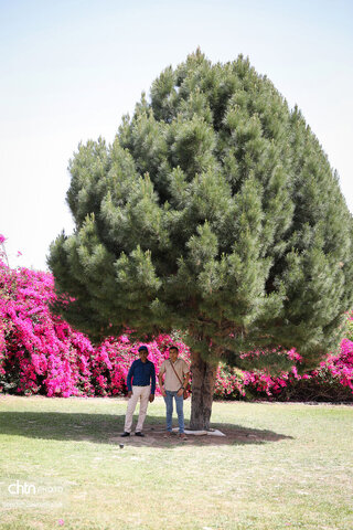 اجرای دومین گشت تخصصی گردشگری مبتلایان به تالاسمی در خوزستان