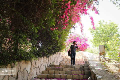 اجرای دومین گشت تخصصی گردشگری مبتلایان به تالاسمی در خوزستان