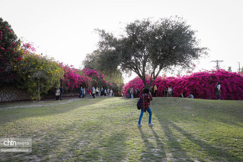 اجرای دومین گشت تخصصی گردشگری مبتلایان به تالاسمی در خوزستان