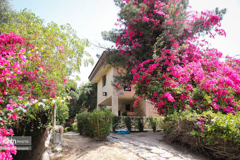 اجرای دومین گشت تخصصی گردشگری مبتلایان به تالاسمی در خوزستان