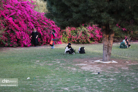 اجرای دومین گشت تخصصی گردشگری مبتلایان به تالاسمی در خوزستان