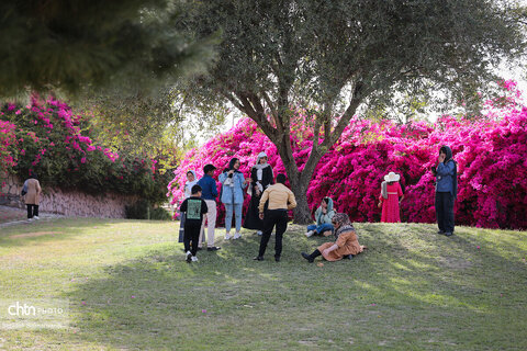 اجرای دومین گشت تخصصی گردشگری مبتلایان به تالاسمی در خوزستان