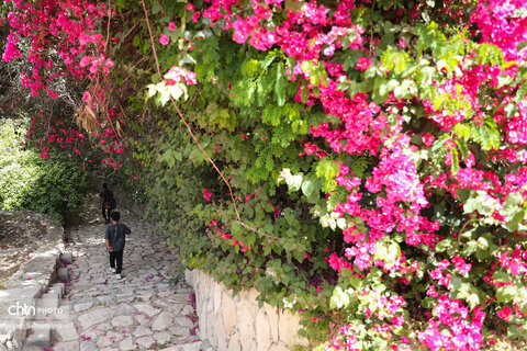 اجرای دومین گشت تخصصی گردشگری مبتلایان به تالاسمی در خوزستان