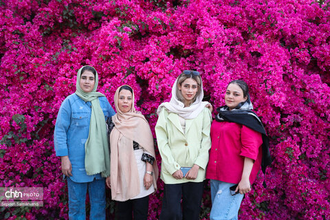 اجرای دومین گشت تخصصی گردشگری مبتلایان به تالاسمی در خوزستان