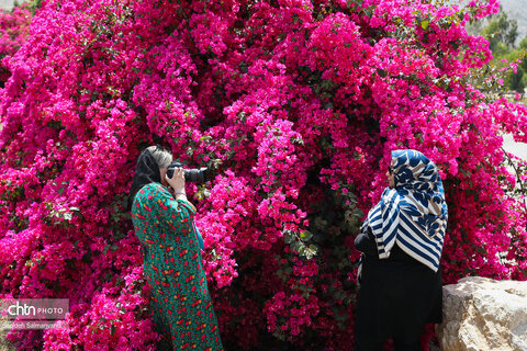 اجرای دومین گشت تخصصی گردشگری مبتلایان به تالاسمی در خوزستان