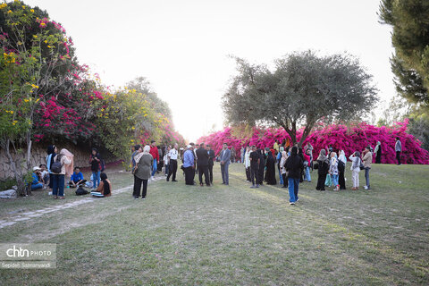 اجرای دومین گشت تخصصی گردشگری مبتلایان به تالاسمی در خوزستان