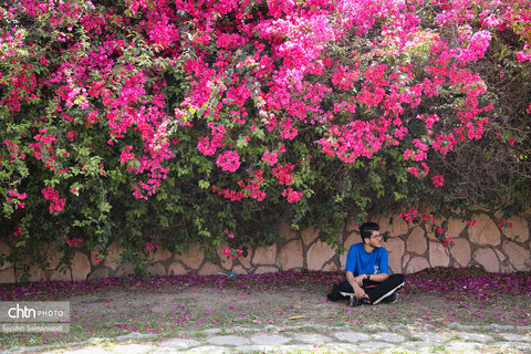 اجرای دومین گشت تخصصی گردشگری مبتلایان به تالاسمی در خوزستان