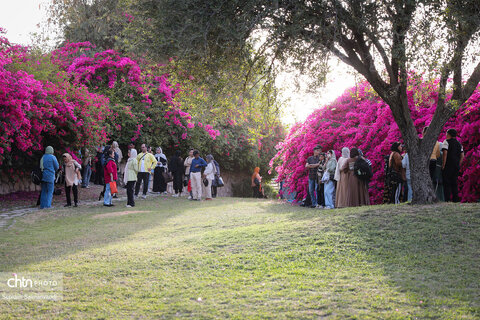 اجرای دومین گشت تخصصی گردشگری مبتلایان به تالاسمی در خوزستان