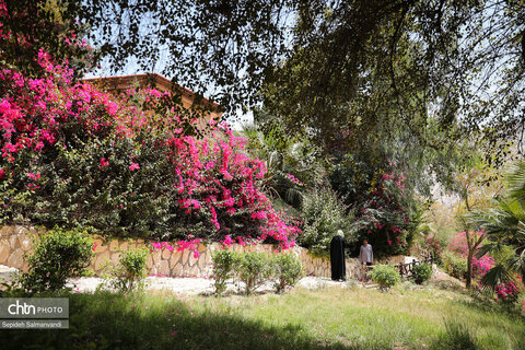 اجرای دومین گشت تخصصی گردشگری مبتلایان به تالاسمی در خوزستان