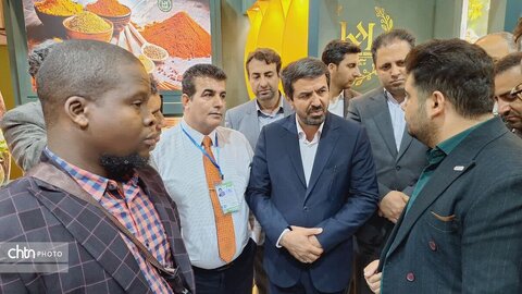 فرش قرمز همدان زیر پای سرمایه‌گذاران‌ پهن است
