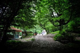 قرمرض نکا، چشمه سلامت در میان طبیعت