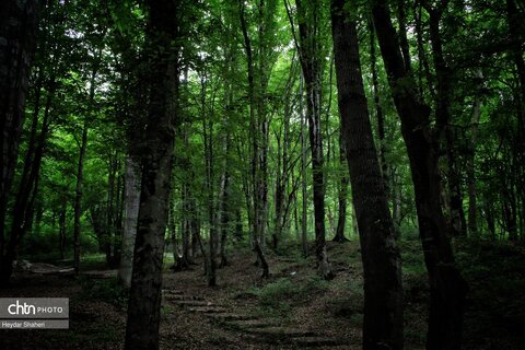 قرمرض نکا، چشمه سلامت در میان طبیعت