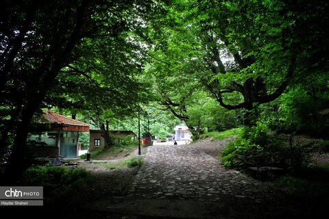 قرمرض نکا، چشمه سلامت در میان طبیعت