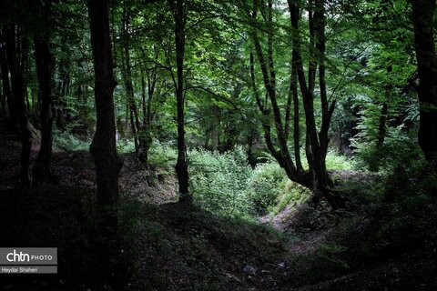 قرمرض نکا، چشمه سلامت در میان طبیعت