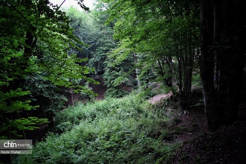 قرمرض نکا، چشمه سلامت در میان طبیعت