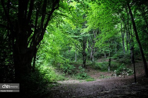 قرمرض نکا، چشمه سلامت در میان طبیعت