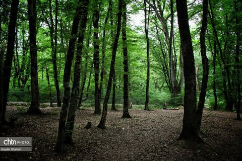 قرمرض نکا، چشمه سلامت در میان طبیعت