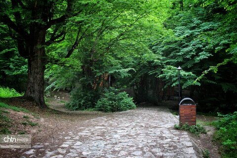 قرمرض نکا، چشمه سلامت در میان طبیعت