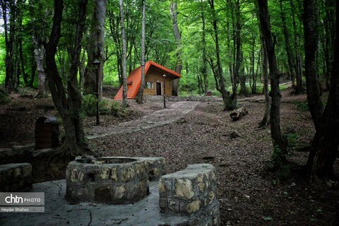 قرمرض نکا، چشمه سلامت در میان طبیعت