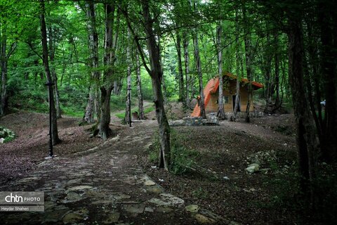 قرمرض نکا، چشمه سلامت در میان طبیعت