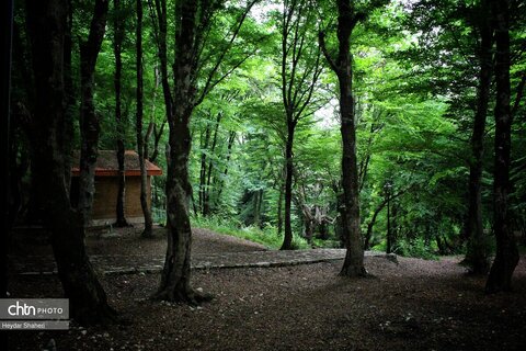 قرمرض نکا، چشمه سلامت در میان طبیعت