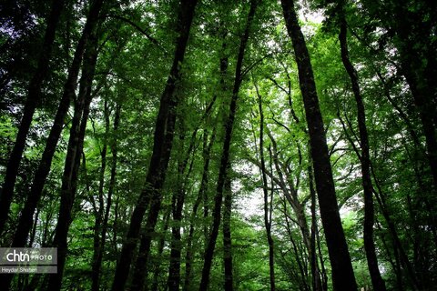 قرمرض نکا، چشمه سلامت در میان طبیعت