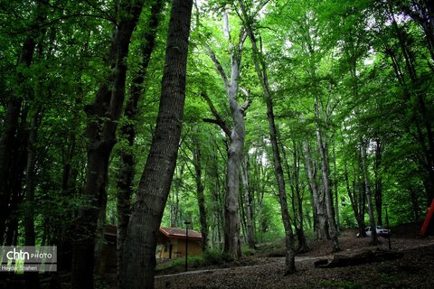 قرمرض نکا، چشمه سلامت در میان طبیعت