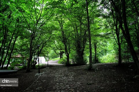 قرمرض نکا، چشمه سلامت در میان طبیعت