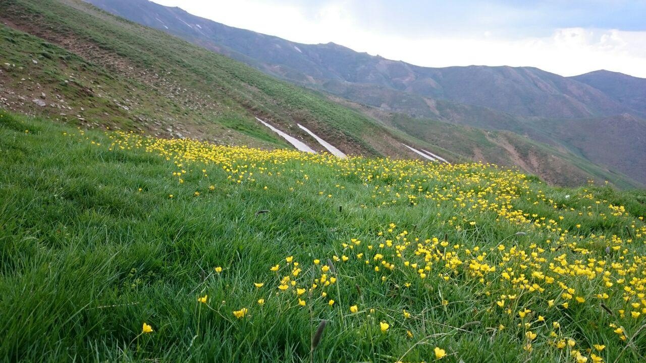 عشایر ماهنشان در دامن طبیعت