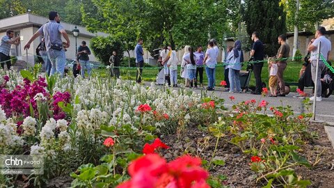 جاودانه ساختن زیبایی‌های آسمان شب در مجموعه فرهنگی‌تاریخی نیاوران