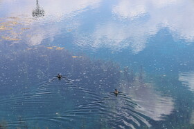 چشمه برم لردگان، تجربه حس طبیعت‌گردی در دل شهر لردگان