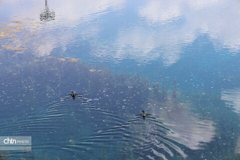 چشمه برم لردگان ،تجربه حس طبیعت‌گردی در دل شهر لردگان