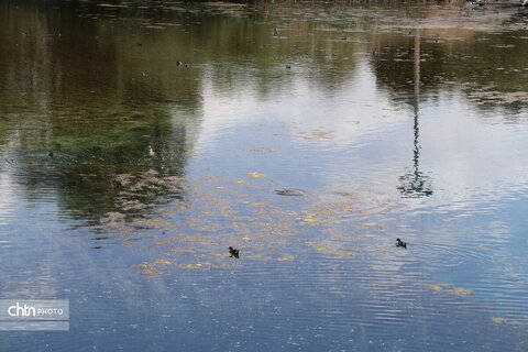 چشمه برم لردگان ،تجربه حس طبیعت‌گردی در دل شهر لردگان