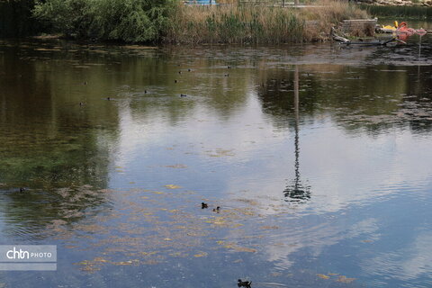 چشمه برم لردگان ،تجربه حس طبیعت‌گردی در دل شهر لردگان