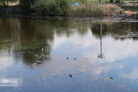 چشمه برم لردگان ،تجربه حس طبیعت‌گردی در دل شهر لردگان
