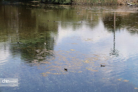 چشمه برم لردگان ،تجربه حس طبیعت‌گردی در دل شهر لردگان