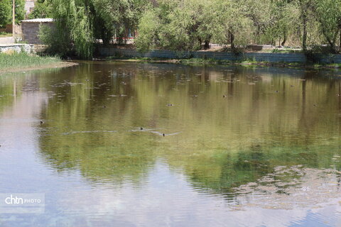 چشمه برم لردگان ،تجربه حس طبیعت‌گردی در دل شهر لردگان
