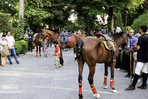 مسابقات نمادین چوگان در میدان تاریخی نقش جهان