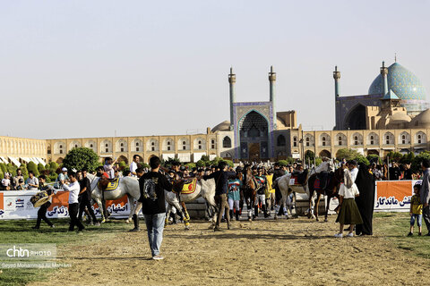 مسابقات نمادین چوگان در میدان تاریخی نقش جهان