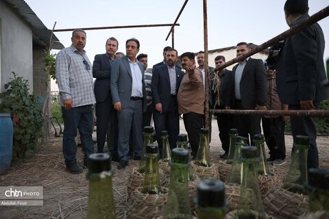 جشنواره با بوی گل و گلاب میمند