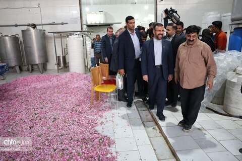 جشنواره با بوی گل و گلاب میمند