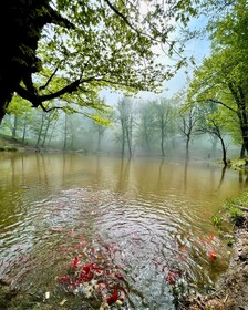 مرداب نیلکوه شهرستان گالیکش