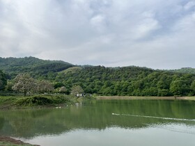 صبحی دل انگیز در آب بندان توشن گرگان