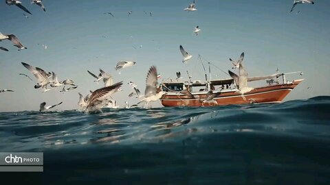 استان هرمزگان